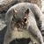 Jenna Anne McLaughlin's profile image