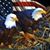 Jeff Nelson's profile image