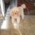Angel Sanabria's profile image
