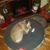 Terri Kidd Colie Shaw's profile image