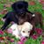 Cheryl Trisvan-Hayes's profile image