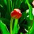 Sherry LaRue's profile image