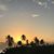 Dawn Koschnitzki's profile image