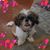 Beth Wilson's profile image