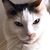 Douglas J Davis's profile image