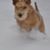 Kathy DeShong's profile image