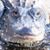 Kerri Bowden's profile image