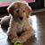 Dalene Bartle's profile image