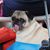 Michele McKee Cordray's profile image