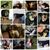Mackenzie Brock's profile image