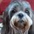 Jo Ann Terry's profile image