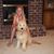 Karen Blomquist Heiser's profile image