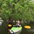 Nancy Austin Hunziker's profile image