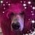 Cheryl Grain's profile image