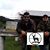Aleman Armando's profile image