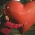 Christina Turner's profile image