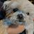 Bea Hoxie's profile image