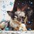 Iris Ruess's profile image