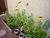 Donna H.'s profile image