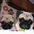 Wendy Haun Alexander's profile image