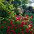 Anna M LaSalvia's profile image