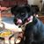 Linda Davis Archer's profile image