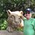 Ken Taylor's profile image
