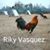 Riky Vasquez's profile image