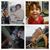 Heather Campanale's profile image