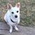 Stacy Ehninger Hopkins's profile image