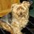 Kari Lyn Merry's profile image