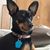 Connie Gaede Billman's profile image