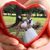 Lindsey Bell's profile image