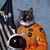Star Sawgle's profile image