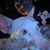 Stephanie Turney's profile image