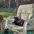 Phyllis Darling's profile image