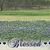 Belinda Admire-Lewis's profile image