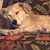 Amy Cavallo Plefka's profile image