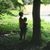 Diane Clifford Kubilus's profile image