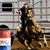 Maureen Kelley's profile image