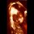 Kelly Amoroso ORourke's profile image