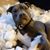 Barbara Stokes's profile image