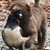 Dennisnlisa Hughes's profile image