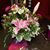 Elizabeth Erickson's profile image