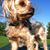 Sue Williams's profile image