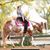Gwendolyn Rock's profile image