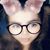 Kelly Jaime-diaz's profile image