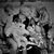 Cyncie Oake-Hill's profile image