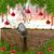 Nancy Marigliano's profile image