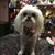 Kathy Andras's profile image